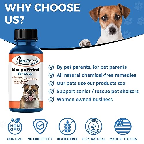 All Natural Skin Pills for Dogs X258190