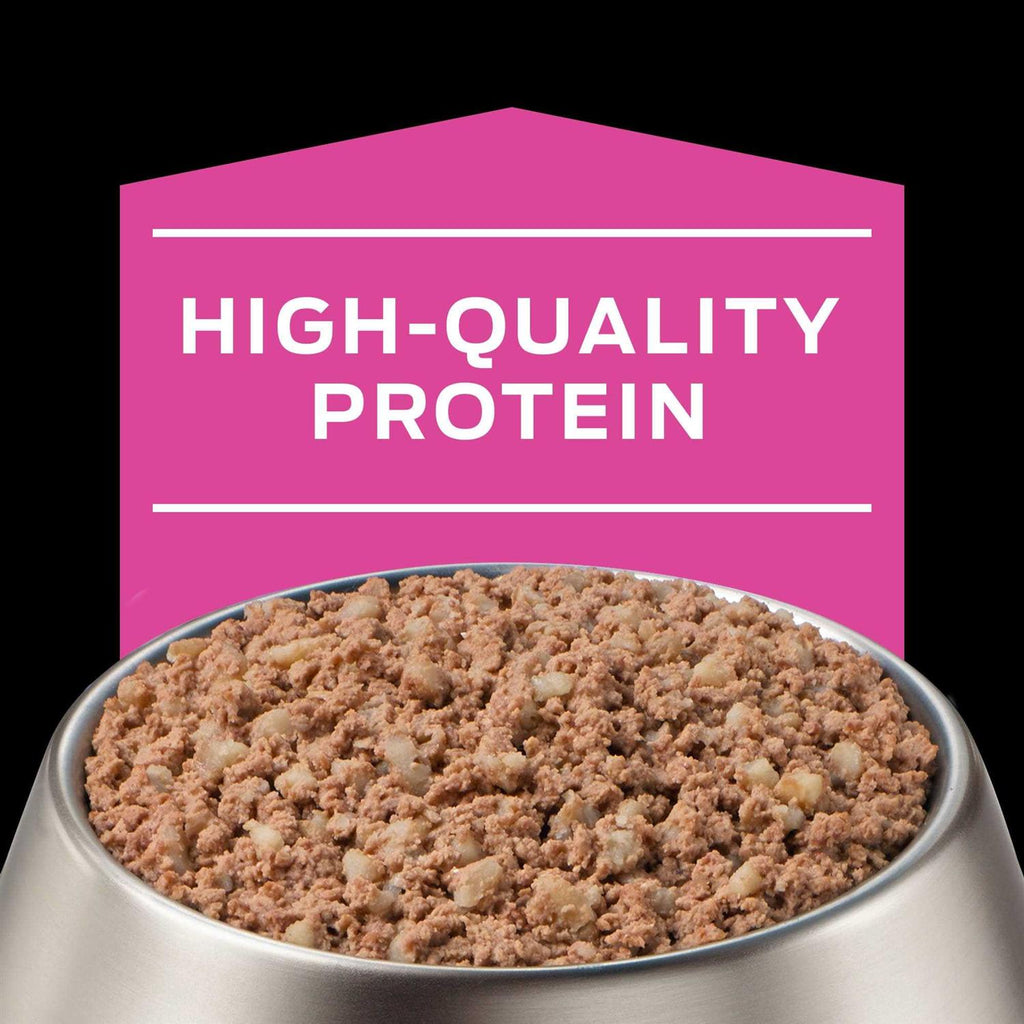 Wet Dog Food B87564