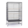 Extra Large Wrought Iron Flight Cage P455