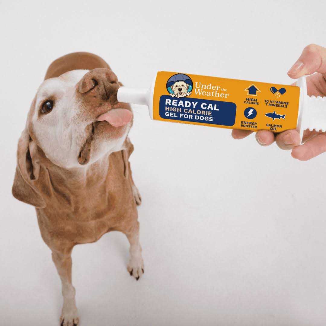 Pet Ready Cal for Dogs O2831