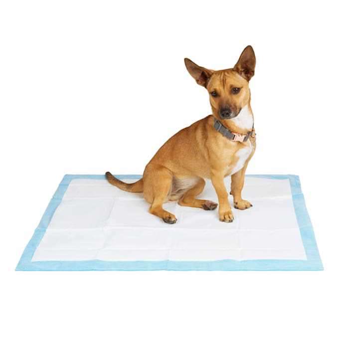 Large Leak Guard Quilted Potty Pads G228431