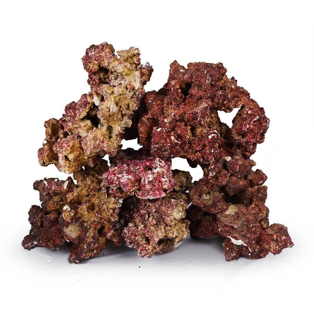 Live Rock for Saltwater Aquariums J3273