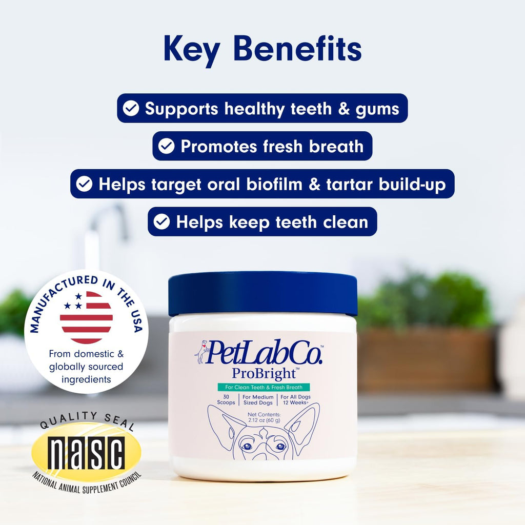Oral Hygiene & Gut Health Bundle: Dental Powder & Probiotics for Dogs R854752