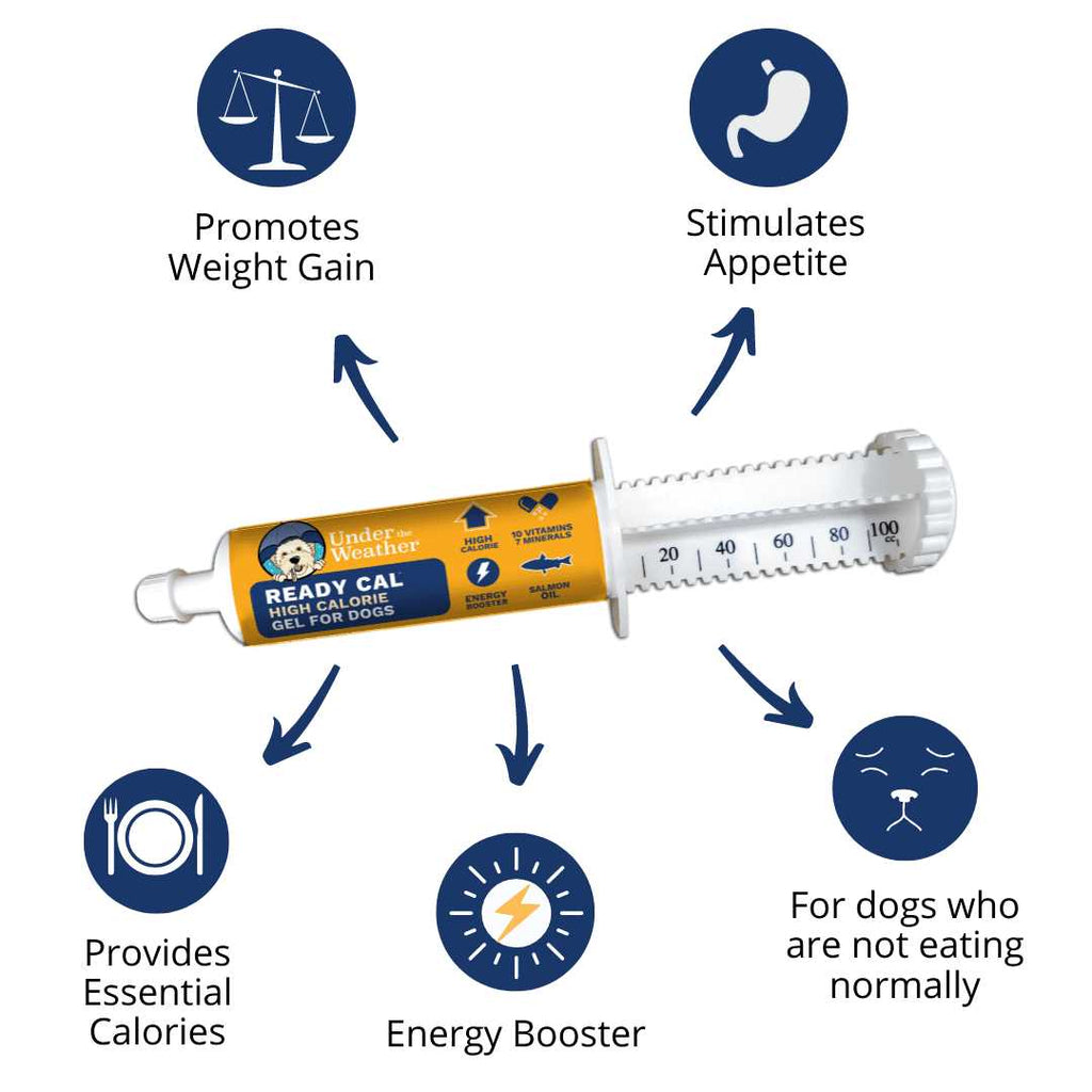 Pet Ready Cal for Dogs O2831