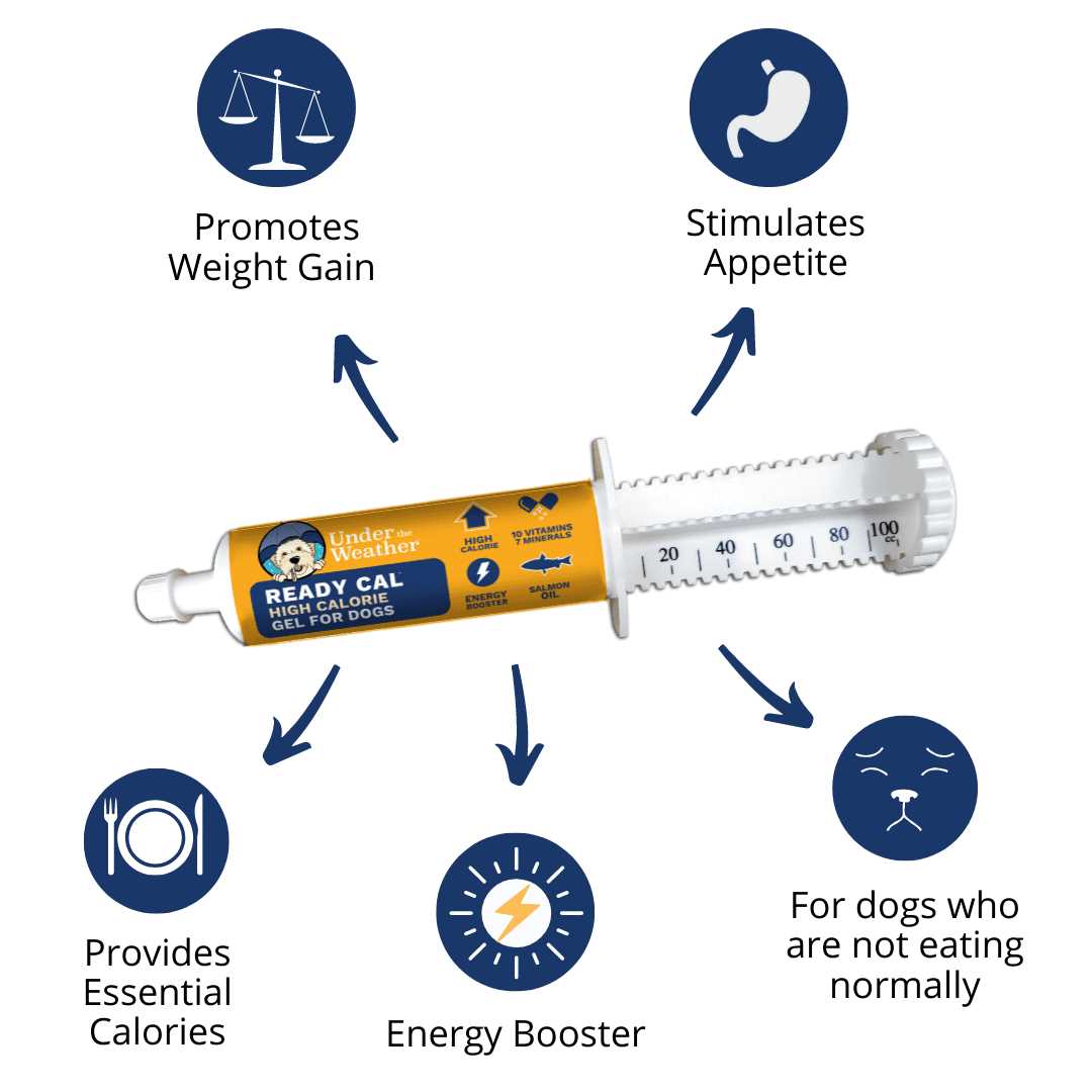 Pet Ready Cal for Dogs O2831