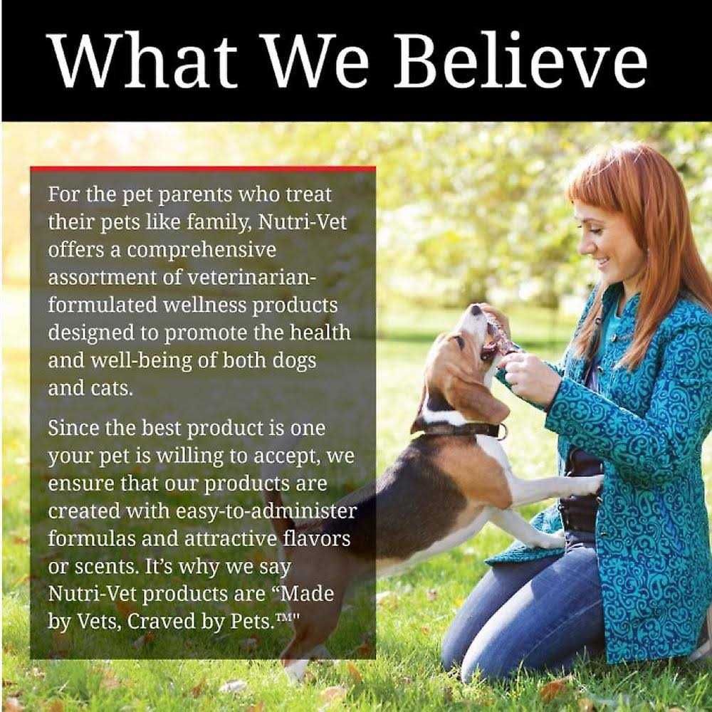 Pumpkin Dog Supplement W58195