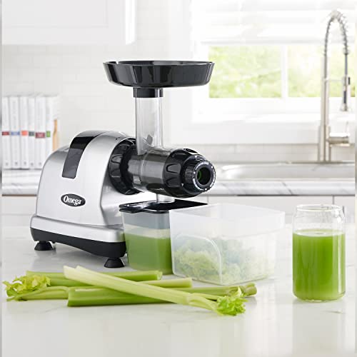Silver Slow Masticating Juicer Y1211