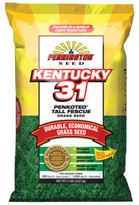 25 lb Tall Fescue Grass Seed Y411