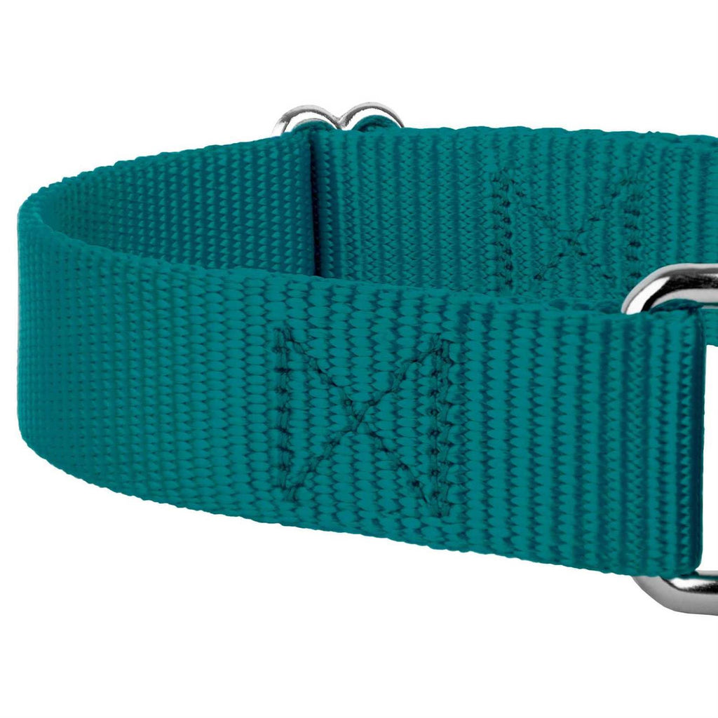 Martingale Nylon Dog Collar H3521