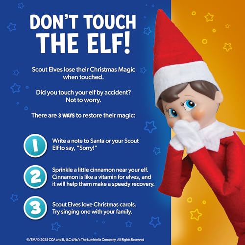 Boy Scout Elf with Blue Eyes Storybook Keepsake Box Adoption Certificate C89638