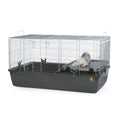 Small Animal Home M51501