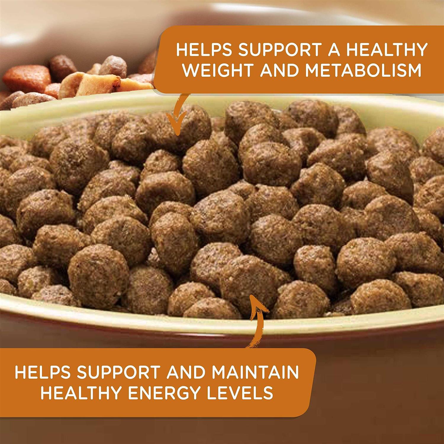 Real Turkey Brown Rice & Venison Recipe Dry Dog Food F780