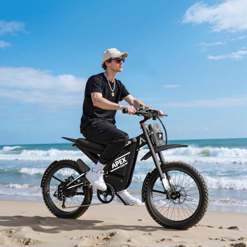 Electric Dirt Bike with 3000W Brushless Motor and 48V 30AH Battery Y480