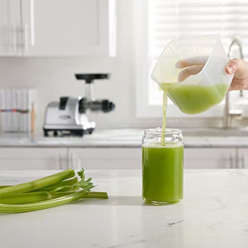 Silver Slow Masticating Juicer Y1211