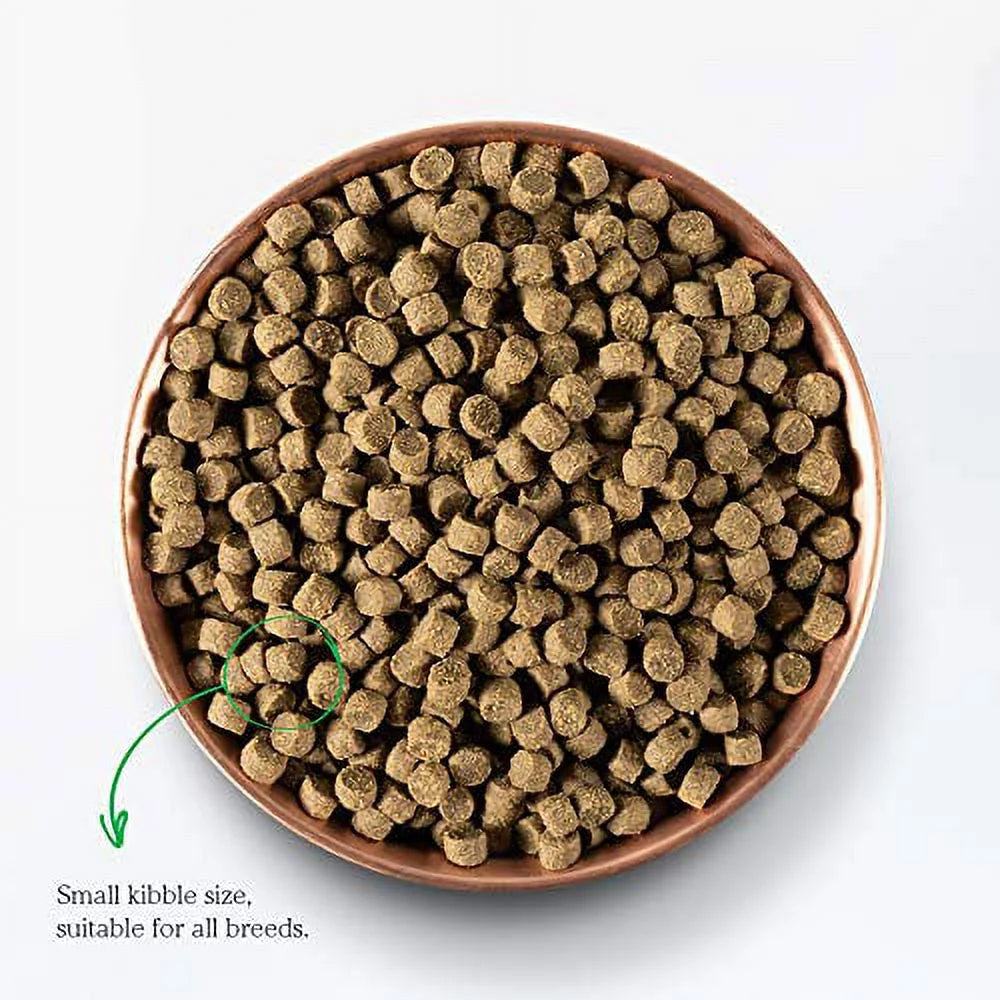Grass-Fed Beef & Ancient Grains Dry Dog Food, 4 lbs G2018