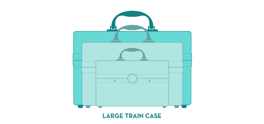 Black Train Case Z2329