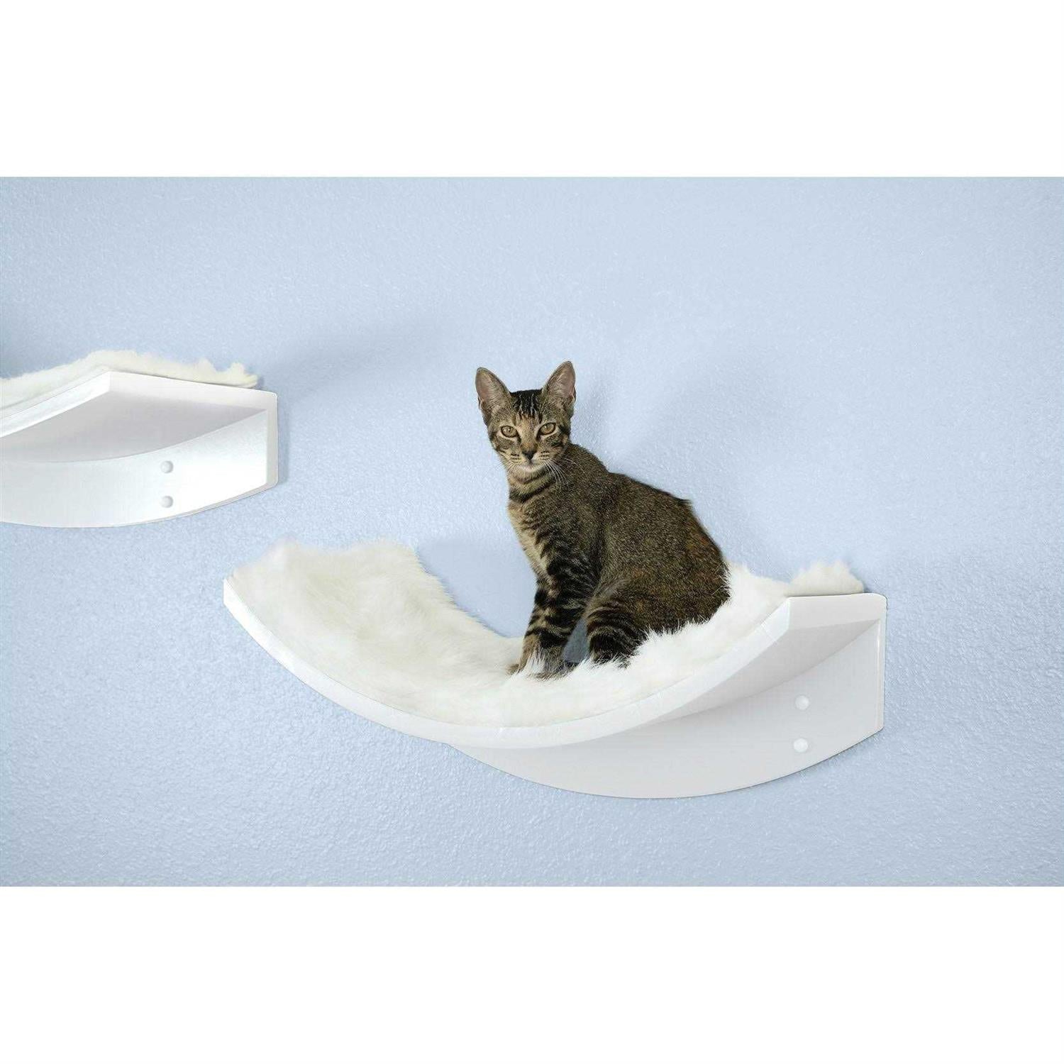 Cat Shelf S271920
