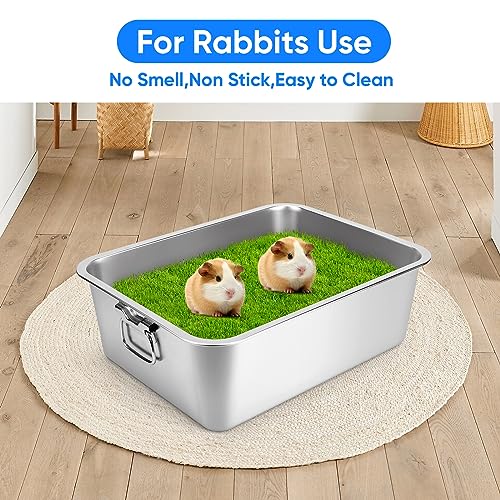 Stainless Steel Litter Box with Handle, 17.5" L x 13.5" W x 6" H, Non Stick Smooth Surface G256786