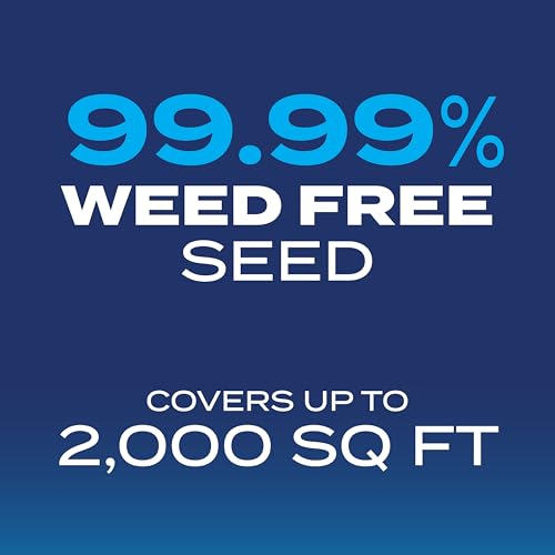 4 lb. Drought Tolerant Grass Seed Mix I6402