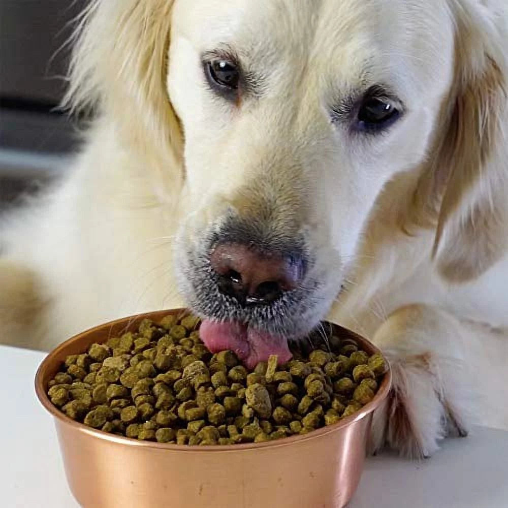Grass-Fed Beef & Ancient Grains Dry Dog Food, 4 lbs G2018