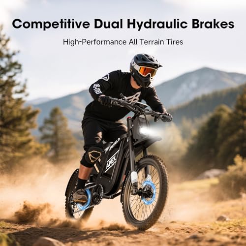 Electric Dirt Bike with 3000W Brushless Motor and 48V 30AH Battery Y480