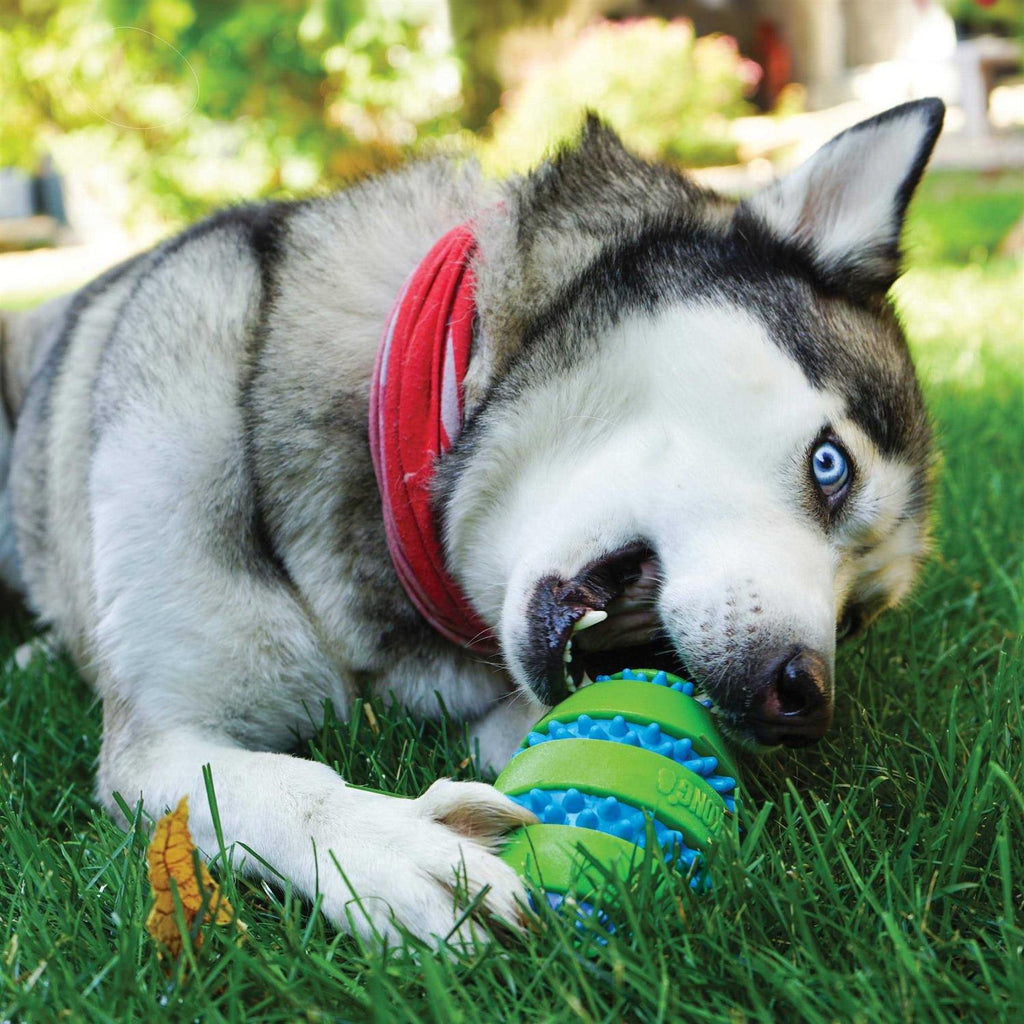 Football Dog Toy Z65792