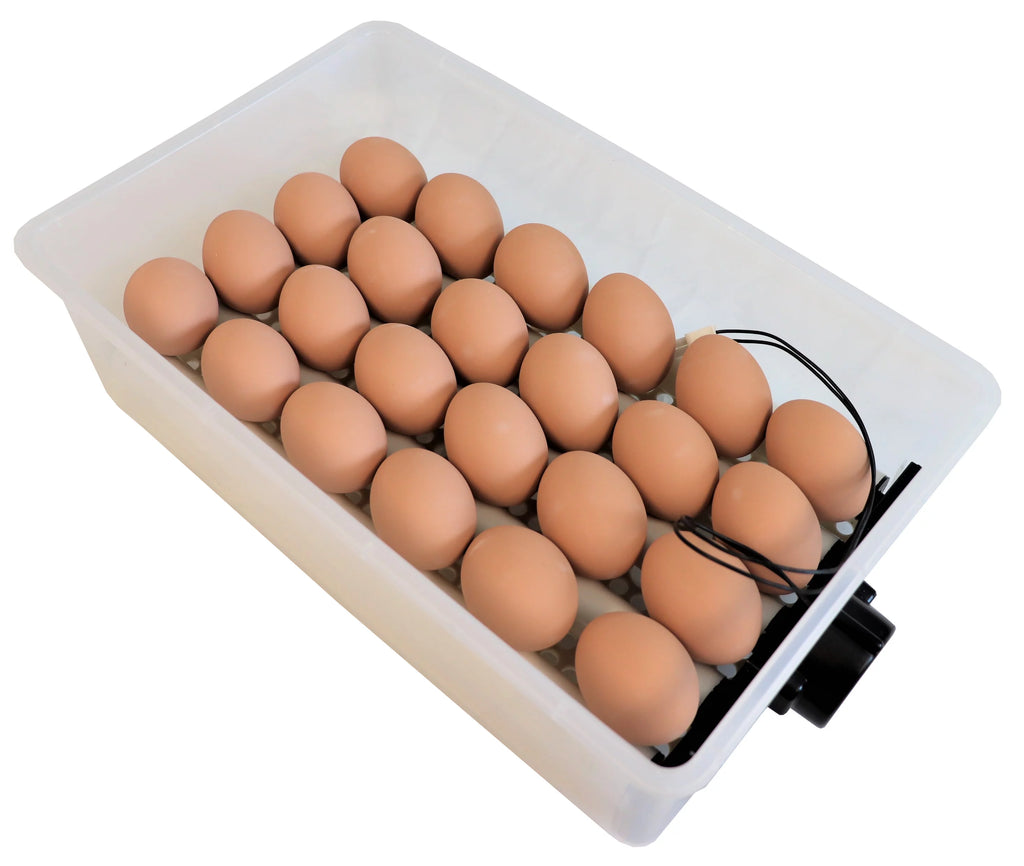 24 Chicken Egg Incubator & Hatcher Turner V298614
