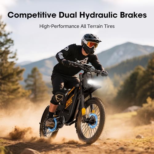 Electric Dirt Bike with 3000W Brushless Motor and 48V 30AH Battery Y480