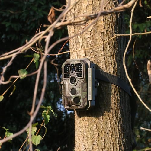 4K 64MP Trail Camera with Night Vision M412