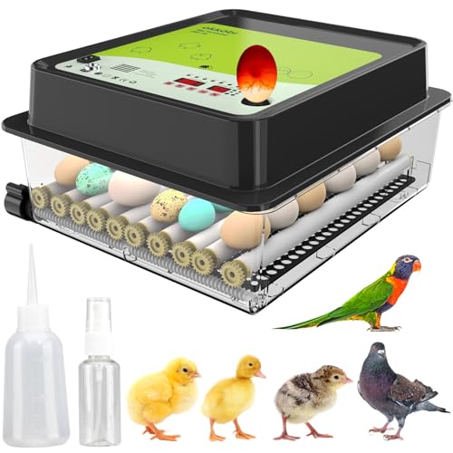 Egg Incubator with Automatic Egg Turner and Temperature Control W455596