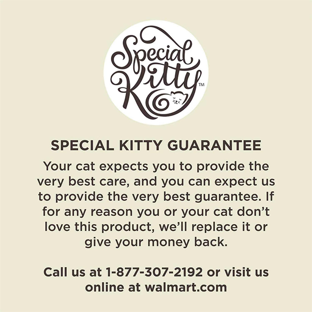 Special Kitty Gourmet Formula Dry Cat Food Y191229