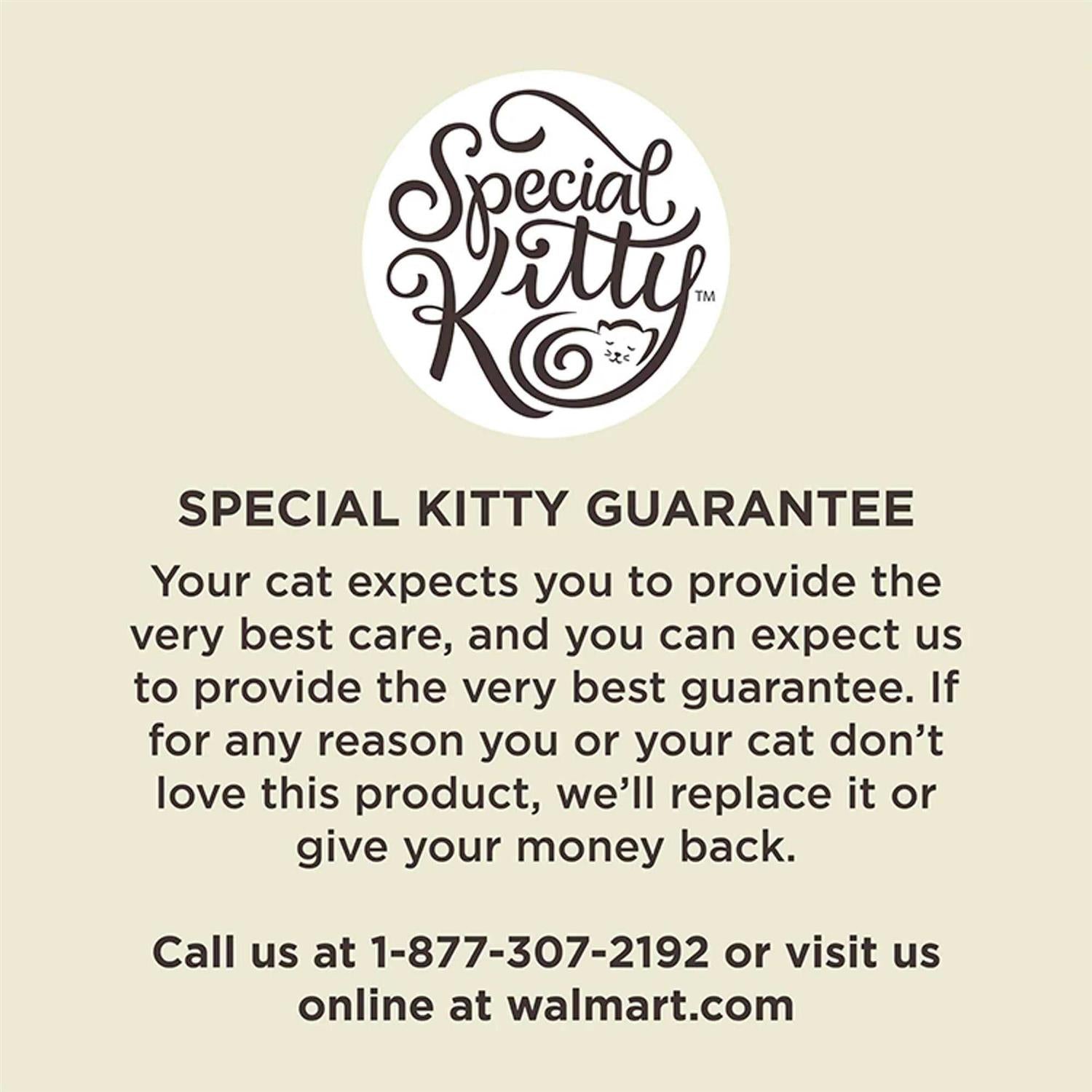 Special Kitty Gourmet Formula Dry Cat Food Y191229