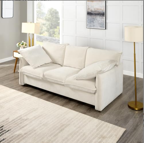 Grey Velvet 3-in-1 Convertible Sleeper Sofa with Storage and 2 Pillows W883
