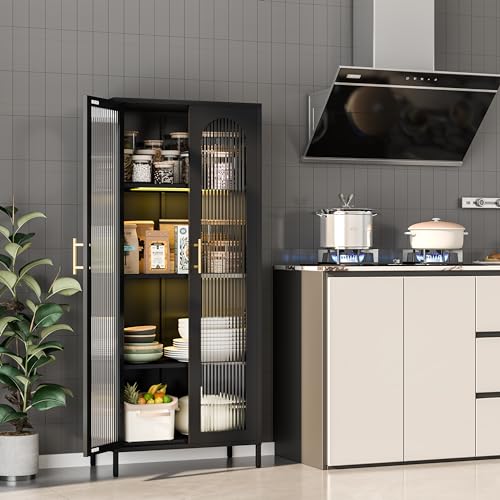 Black 65" Metal Storage Cabinet with Glass Doors and 3 Adjustable Shelves X843