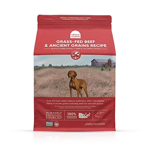 Grass-Fed Beef & Ancient Grains Dry Dog Food, 4 lbs G2018