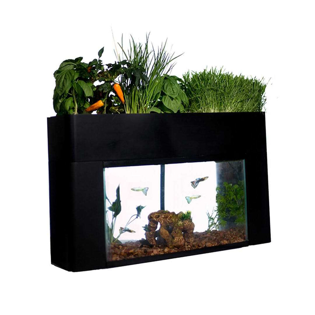 AquaSprouts Garden kit C259709