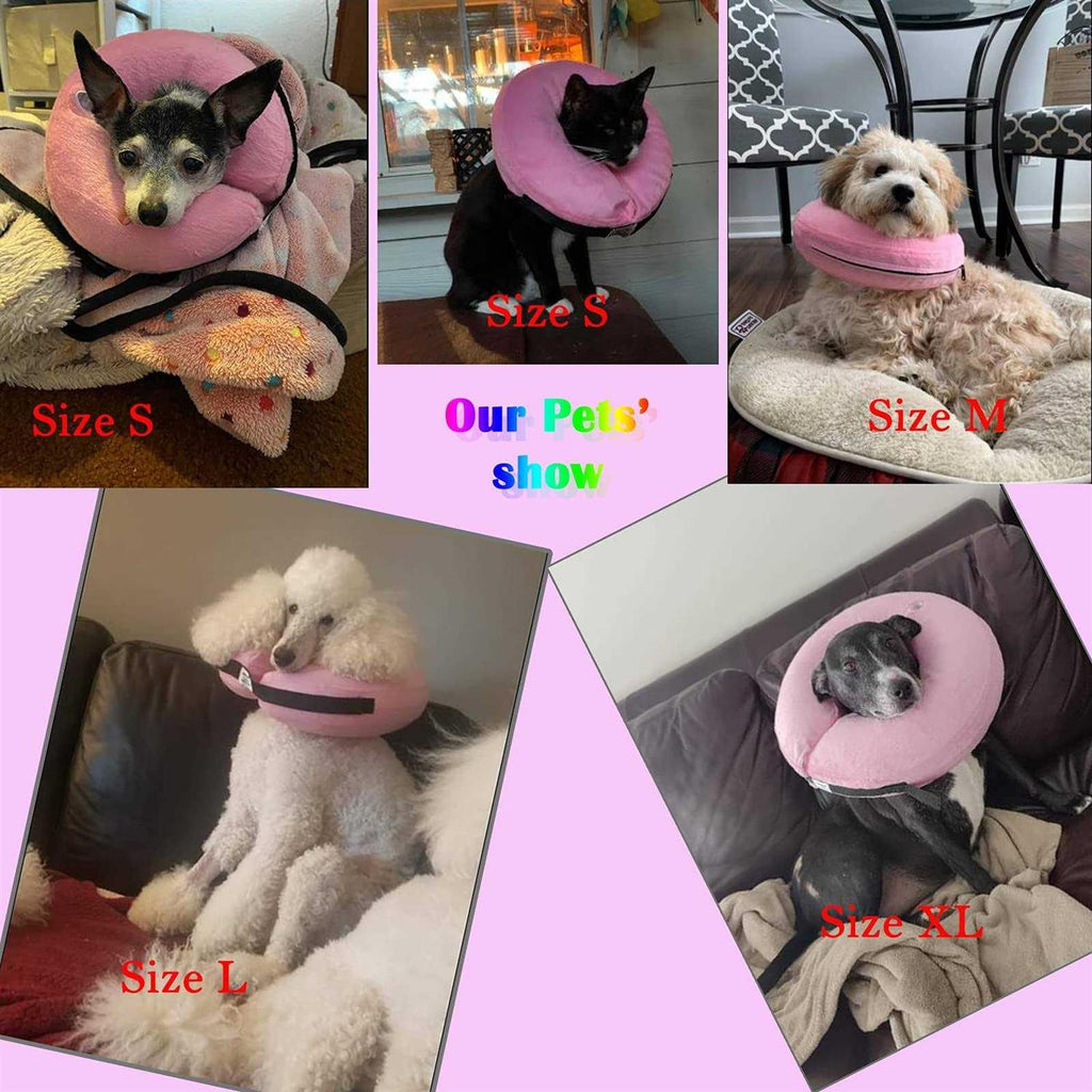 Inflatable Dog Collar R449