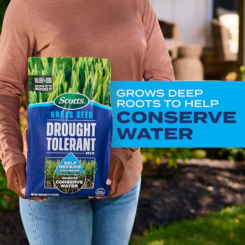 4 lb. Drought Tolerant Grass Seed Mix I6402