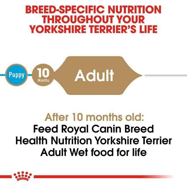 Yorkshire Terrier Adult Loaf In Sauce Dog Food L9776