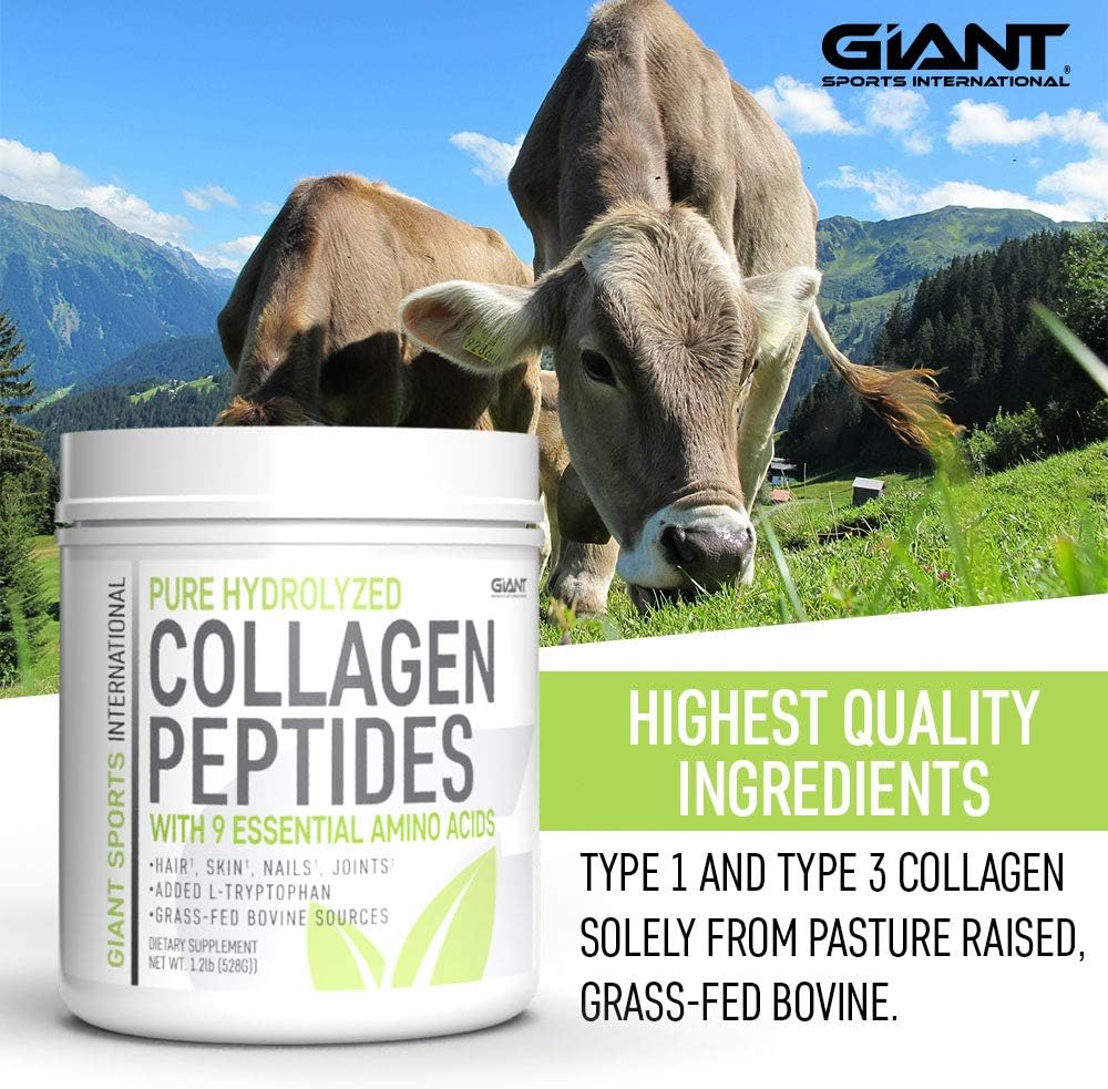 Collagen Peptide Powder Hydrolyzed Amino Acids 1 LB W604072