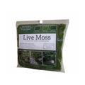 1.25sqft Live Moss Pack O647114