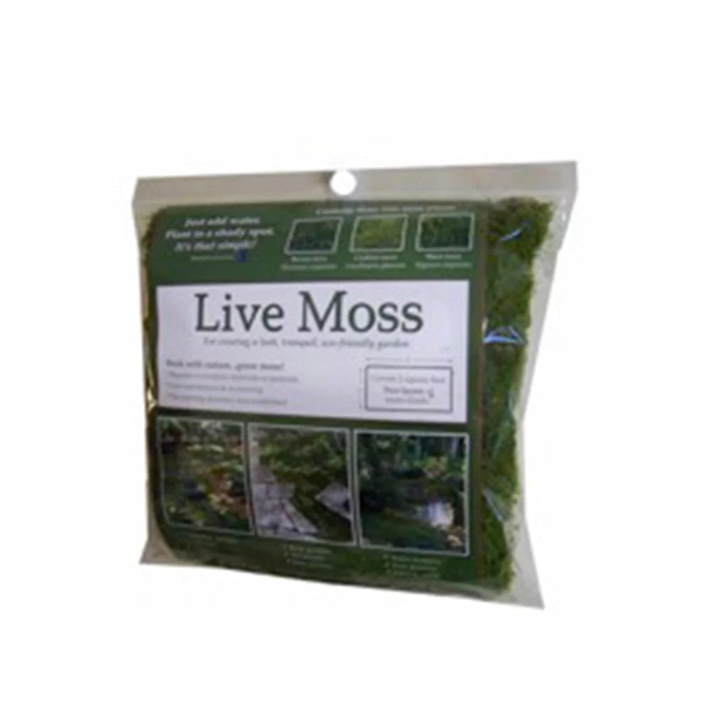 1.25sqft Live Moss Pack O647114