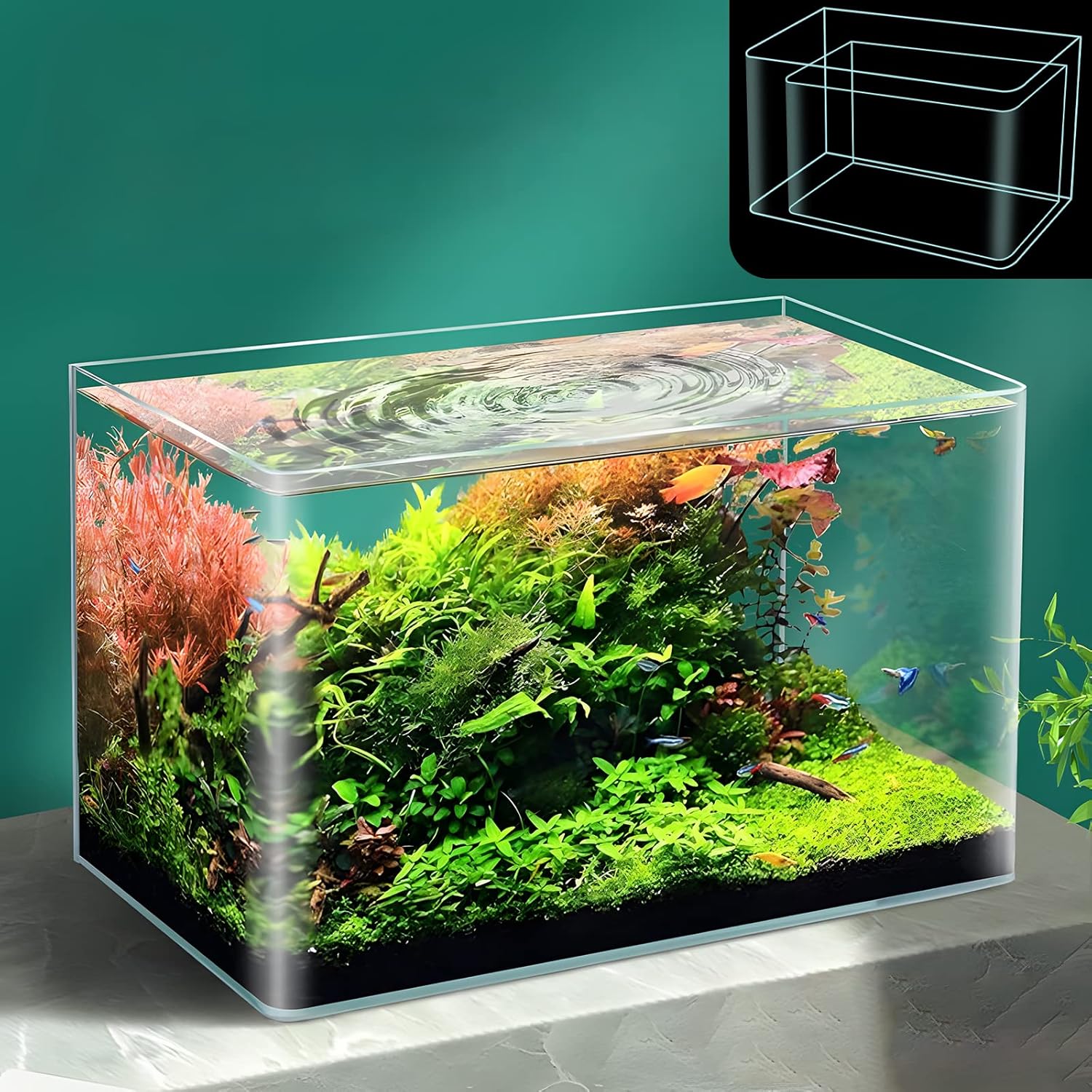2 Pack Rimless Small Fish Tank F1460