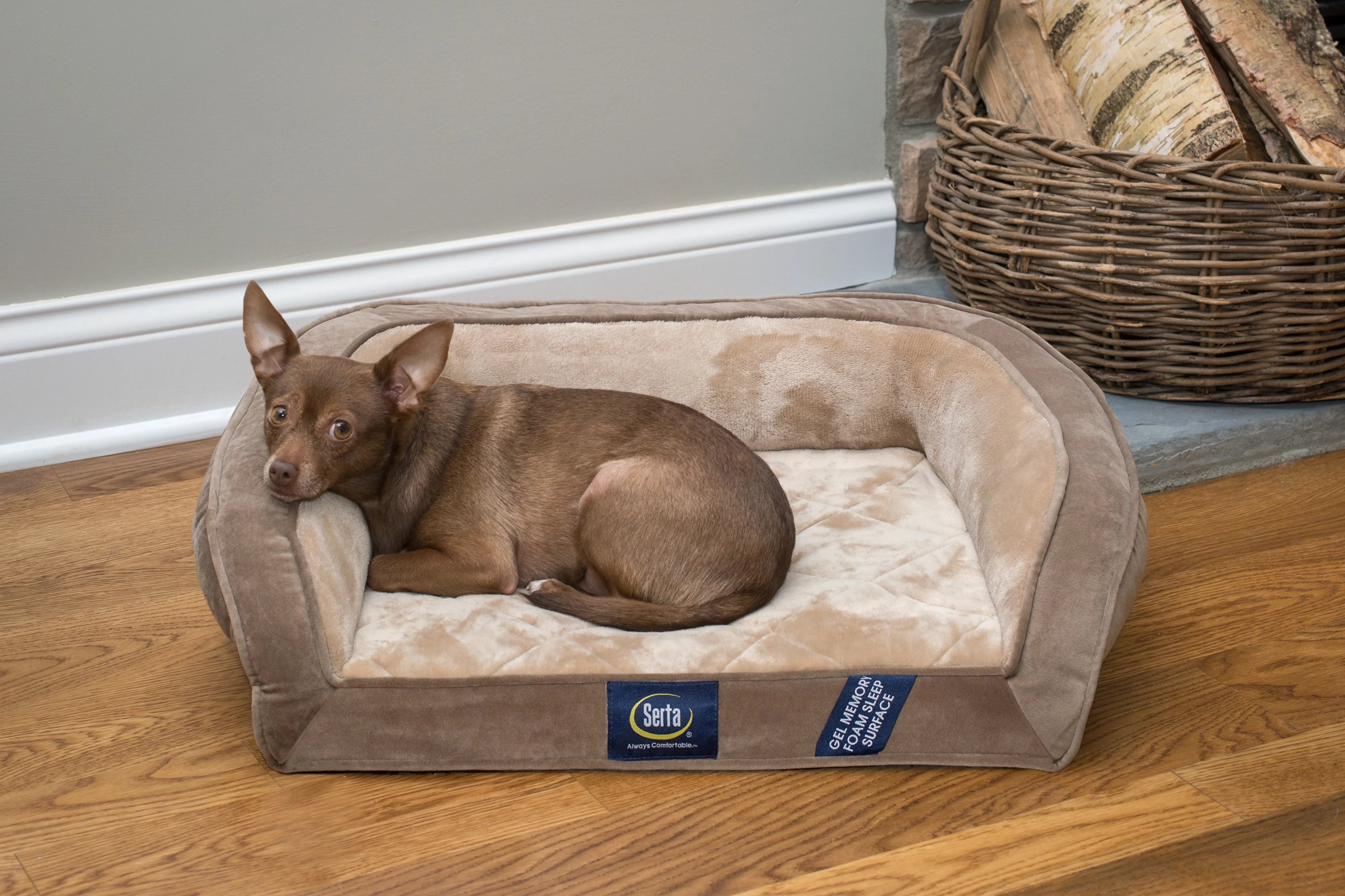 Small Brown Gel Memory Foam Dog Bed Z155578