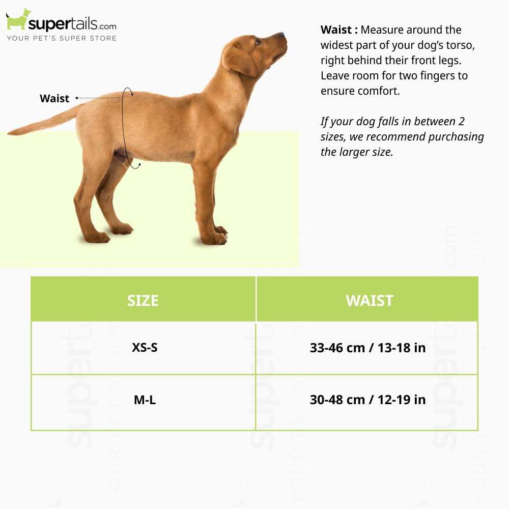 Disposable Male Dog Diapers O329929