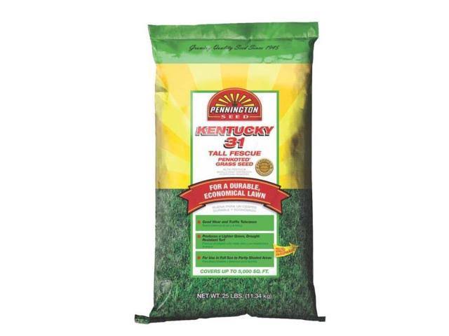 25 lb Tall Fescue Grass Seed Y411