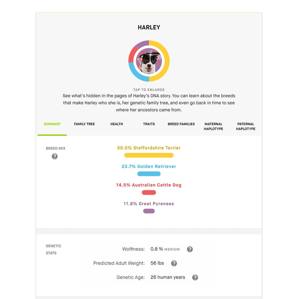 Dog DNA Test Pack of 3 G85482