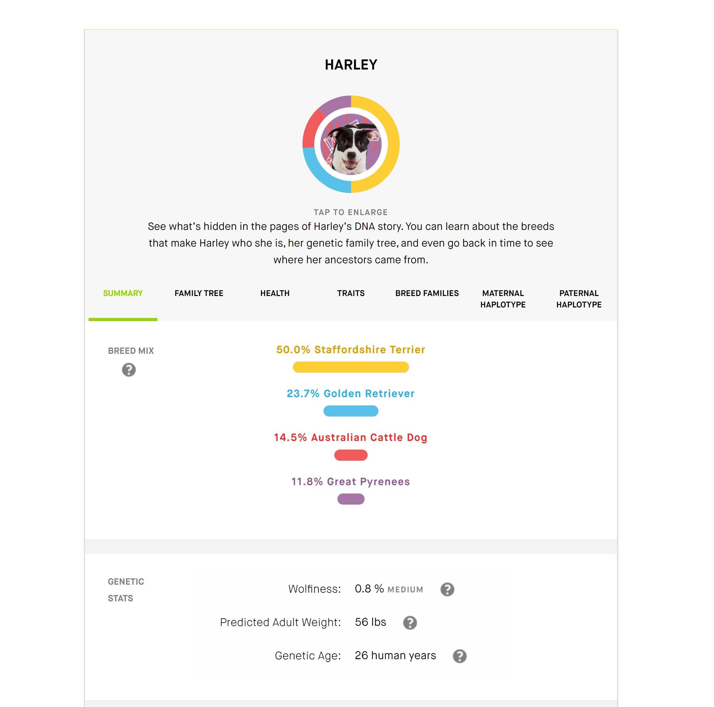 Dog DNA Test Pack of 3 G85482