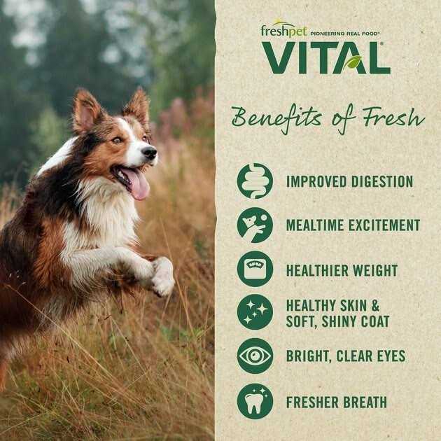Grain-Free Chicken Fresh Small Breed Dog Food X791397
