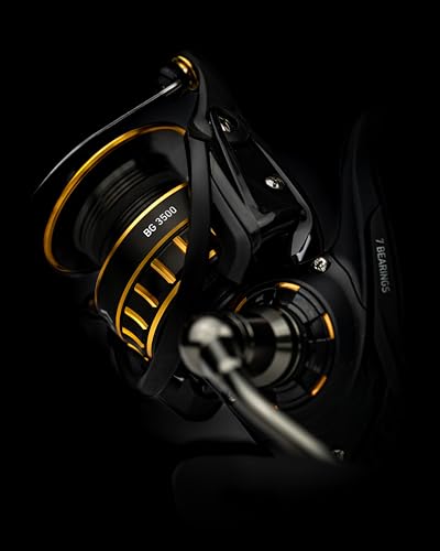 BG Reel Kit with Braided Line and SP Minnow J141